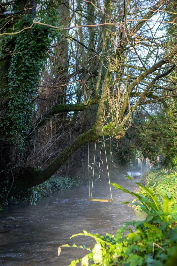 West Cottage, Cerne Abbas Lane 도체스터도싯 외부 사진